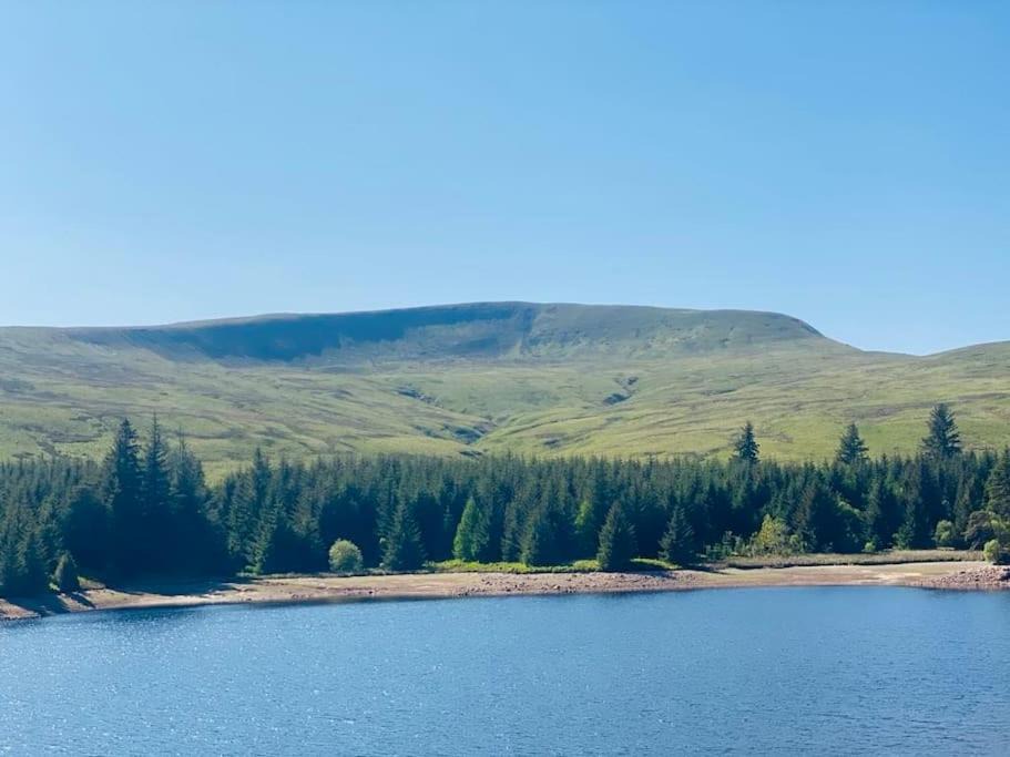 Photo of Others in Merthyr Vale