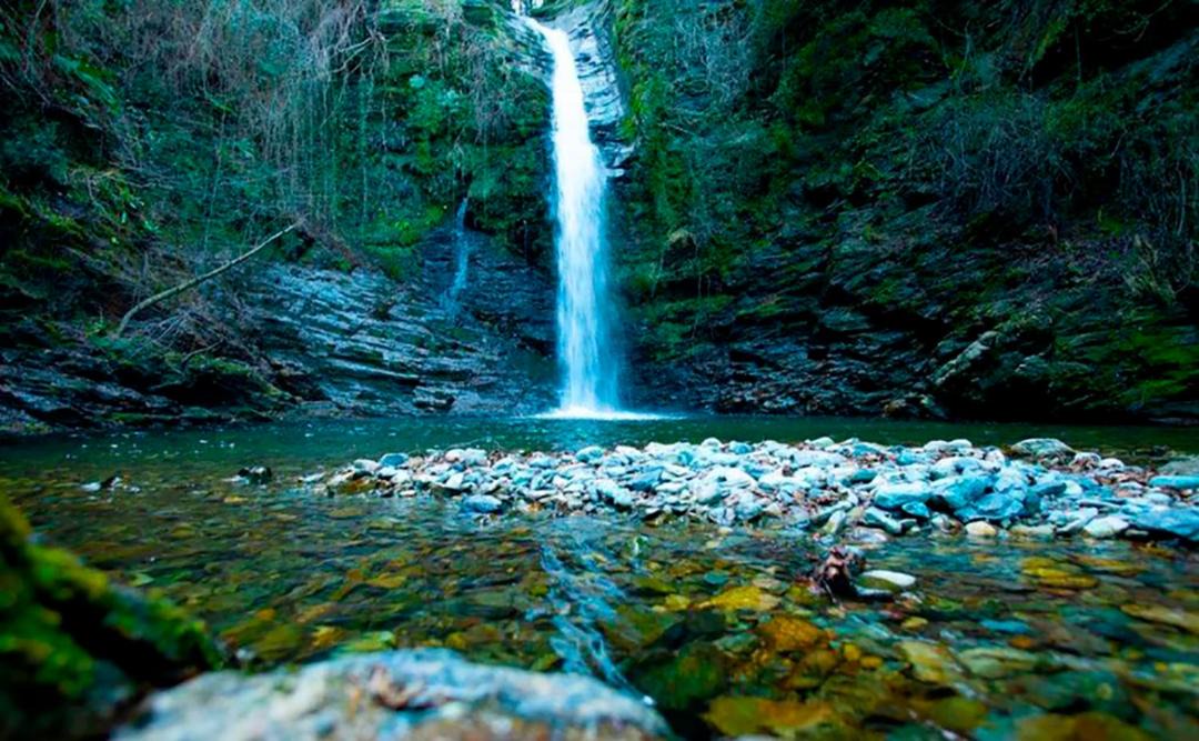 Photo of Others in Carcheto-Brustico