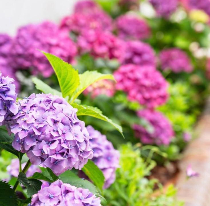 Photo of Others in Stirling