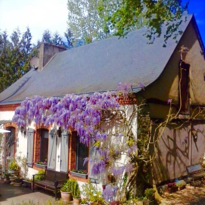 Photo of Others in Craon