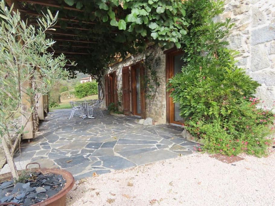 Photo of Others in Soulan