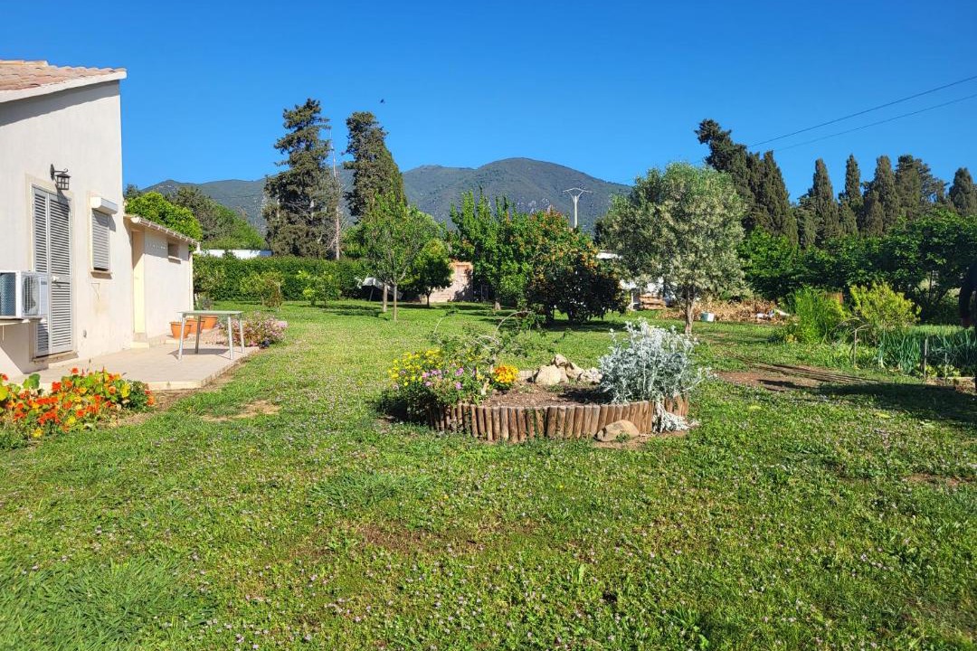 Photo of Others in Linguizzetta