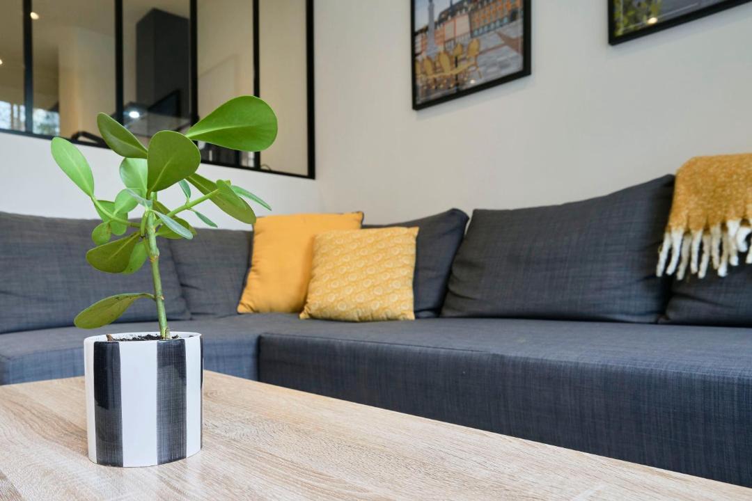 Photo of Others in Fives