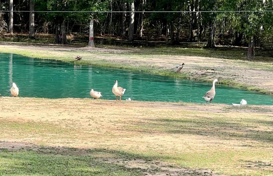 Photo of Others in Conroe
