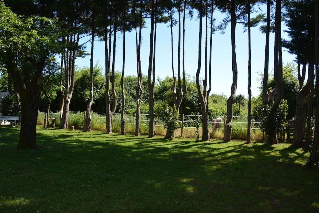 Photo of Others in Bernac