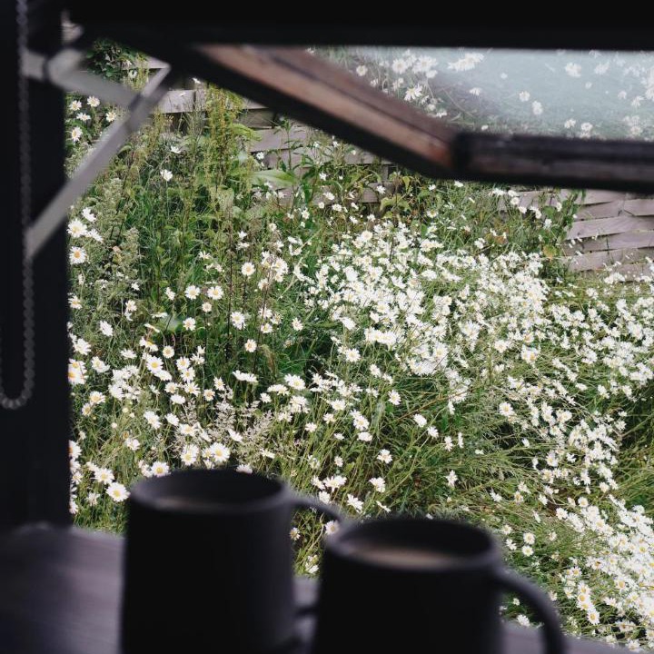 Photo of Others in Old Radnor