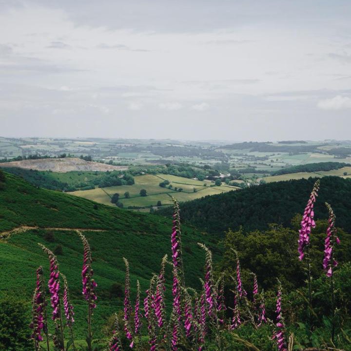 Photo of Others in Old Radnor
