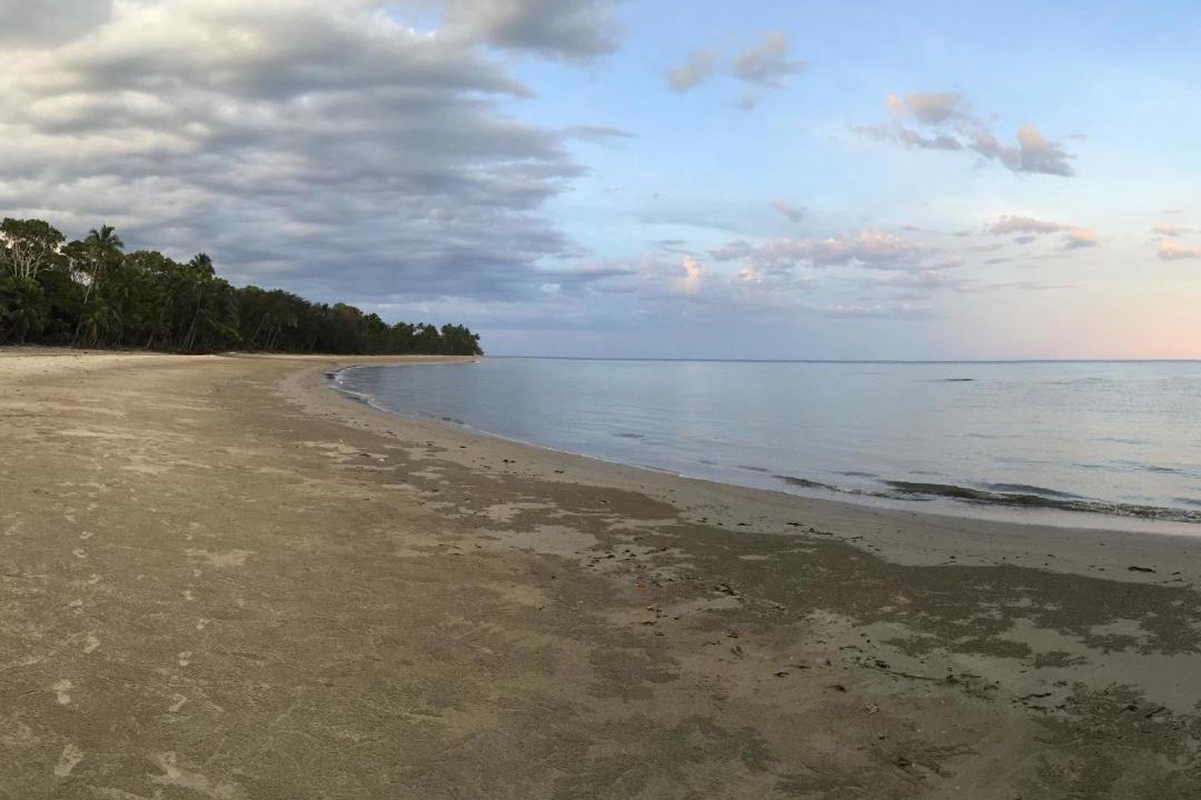 Photo of Others in Cape Tribulation