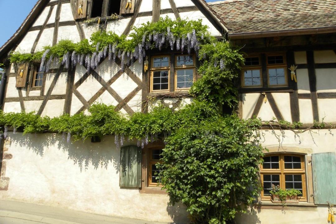 Photo of Others in Rangen