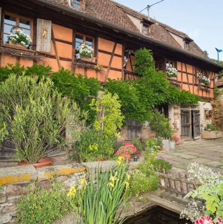 Photo of Others in Rangen