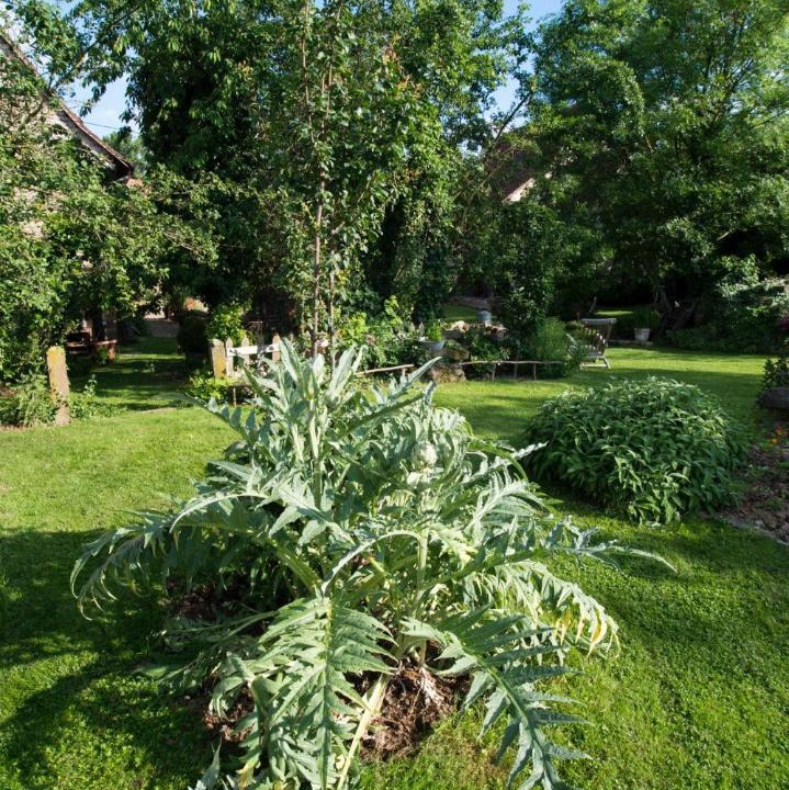 Photo of Others in Rangen