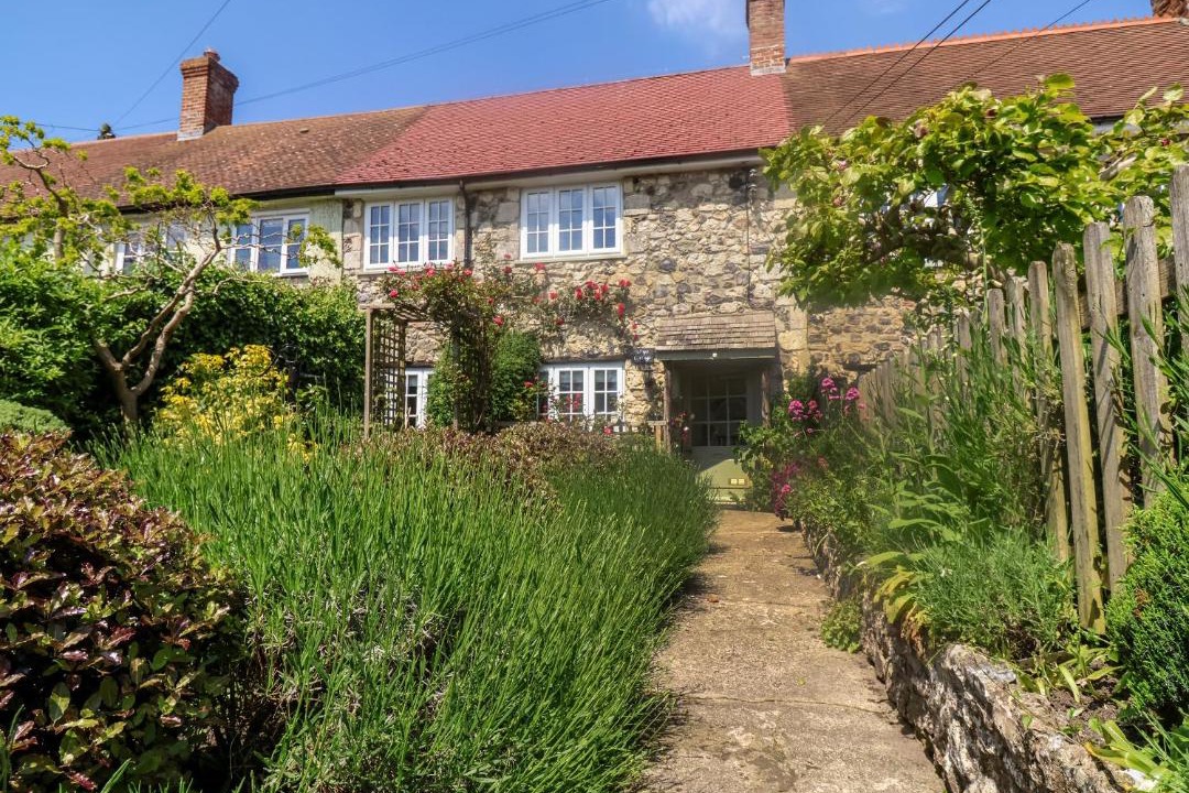 Photo of Others in Beer