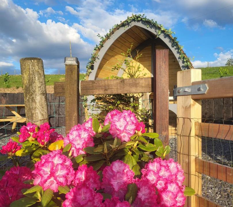 Photo of Others in Llanllyfni