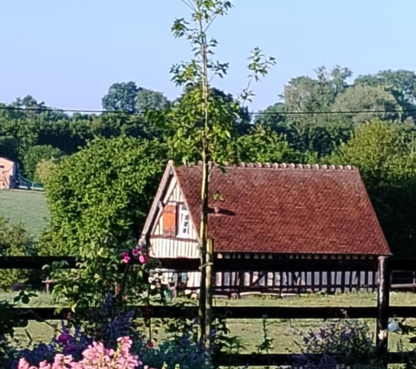 Photo of Others in Pays d'Auge