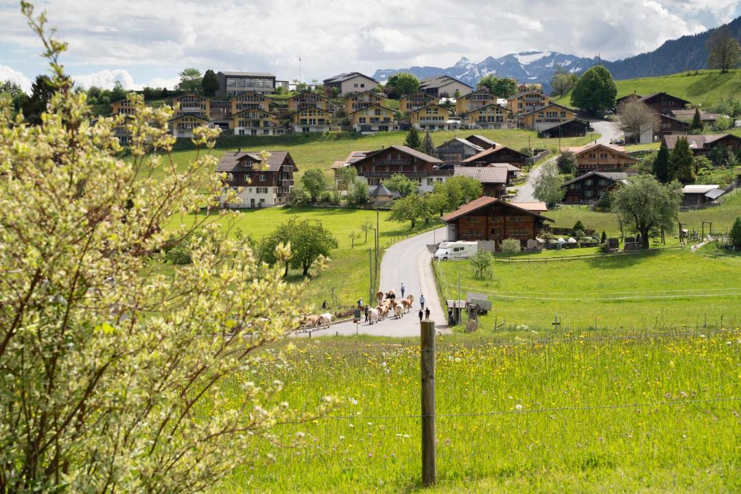 Photo of Others in Aeschi bei Spiez