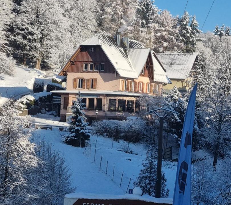 Photo of Others in Le Hohwald