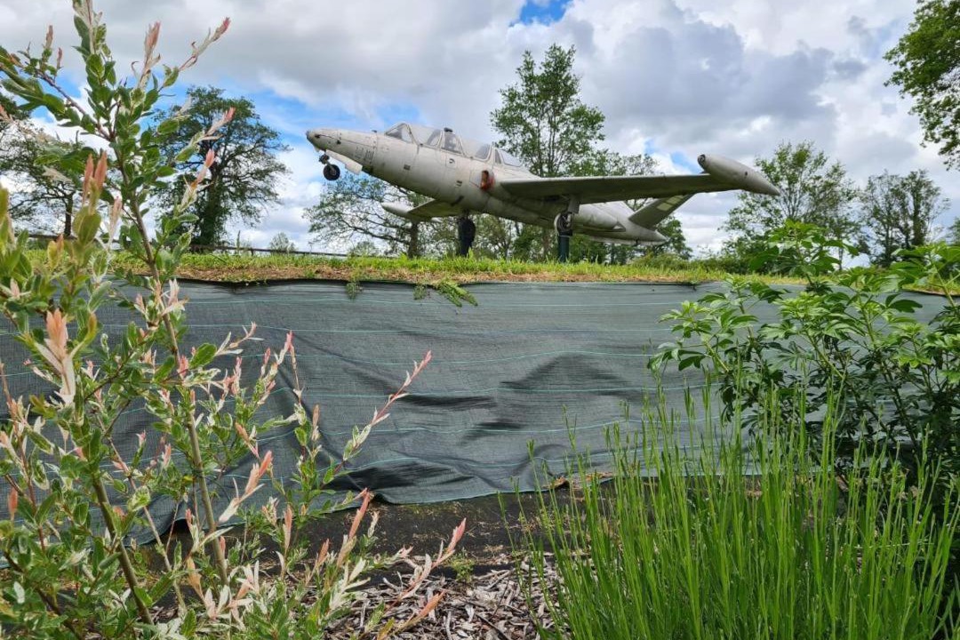 Photo of Others in Saint-Quentin-sur-Charente