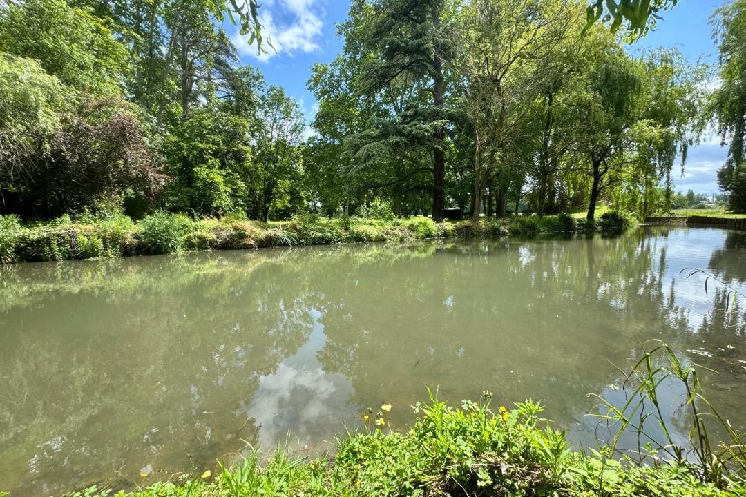 Photo of Others in Fenouillet