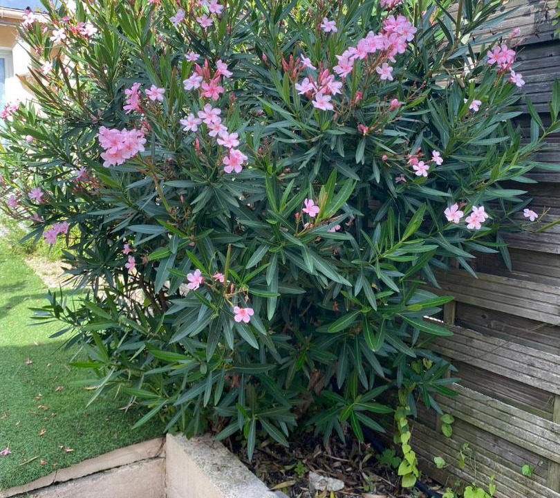 Photo of Others in Gagny