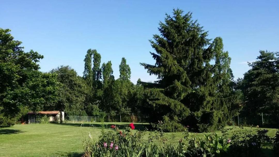 Photo of Others in Mareuil-sur-Cher