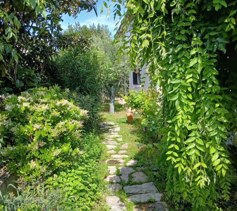 Photo of Others in Le Cres