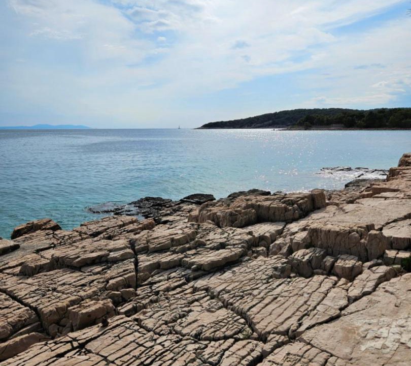 Photo of Others in Milna (Brac)