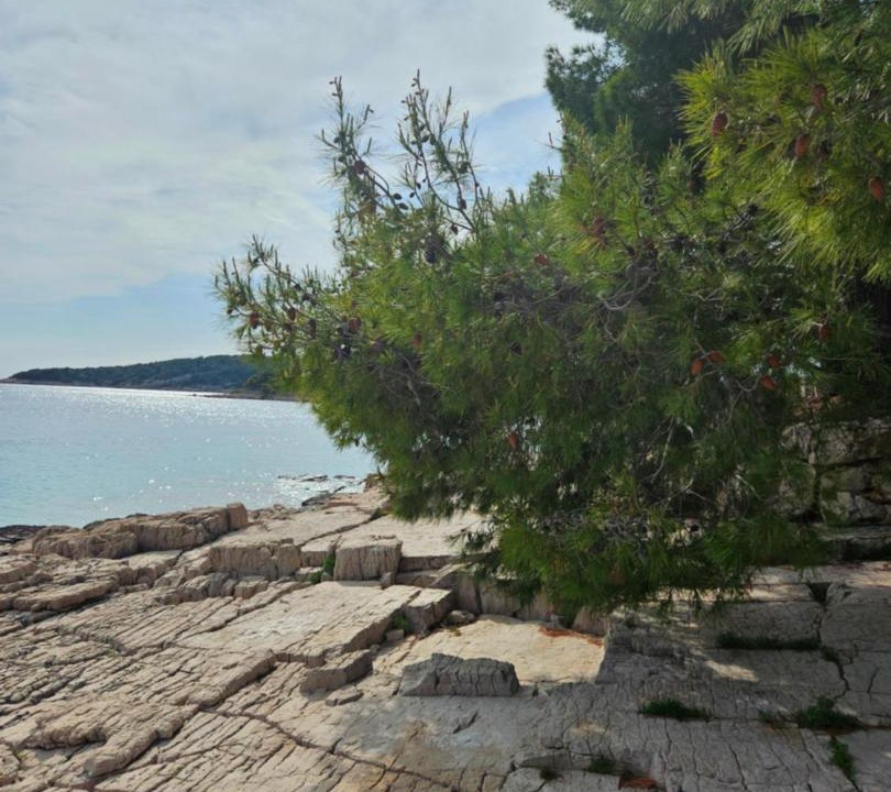 Photo of Others in Milna (Brac)