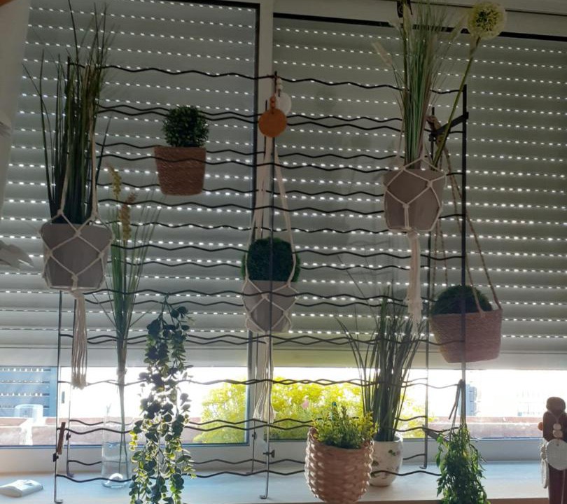 Photo of Others in Ducey