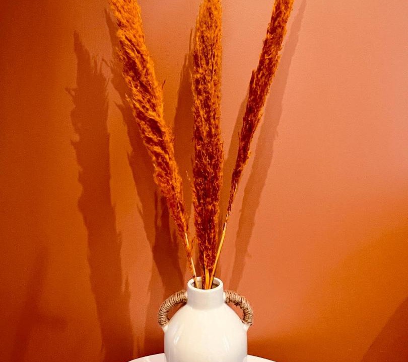 Photo of Others in Carhaix-Plouguer