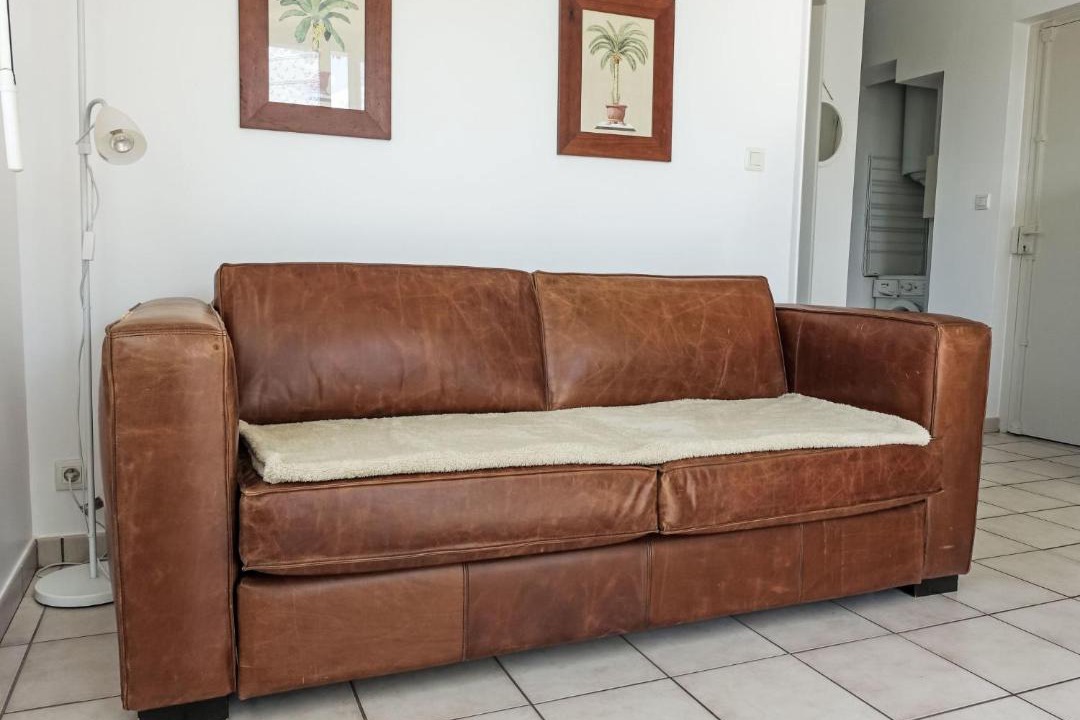 Photo of Others in Soorts-Hossegor