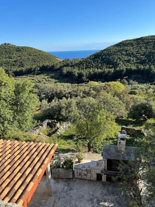 Photo of Others in Mljet