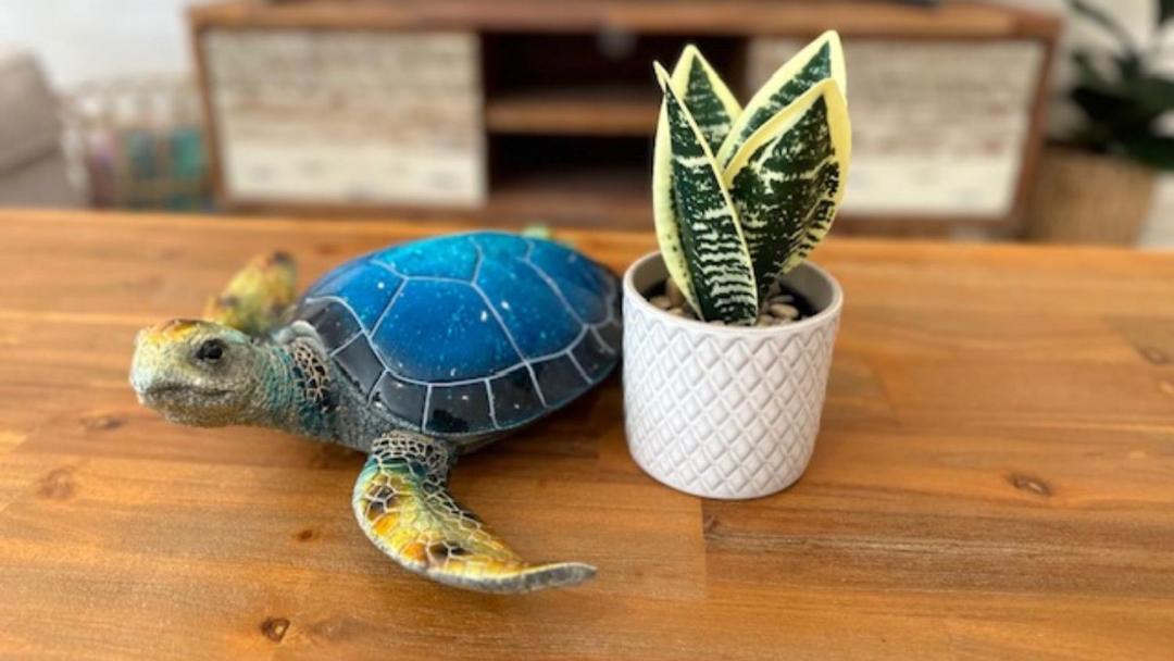 Photo of Others in Sanctuary Point