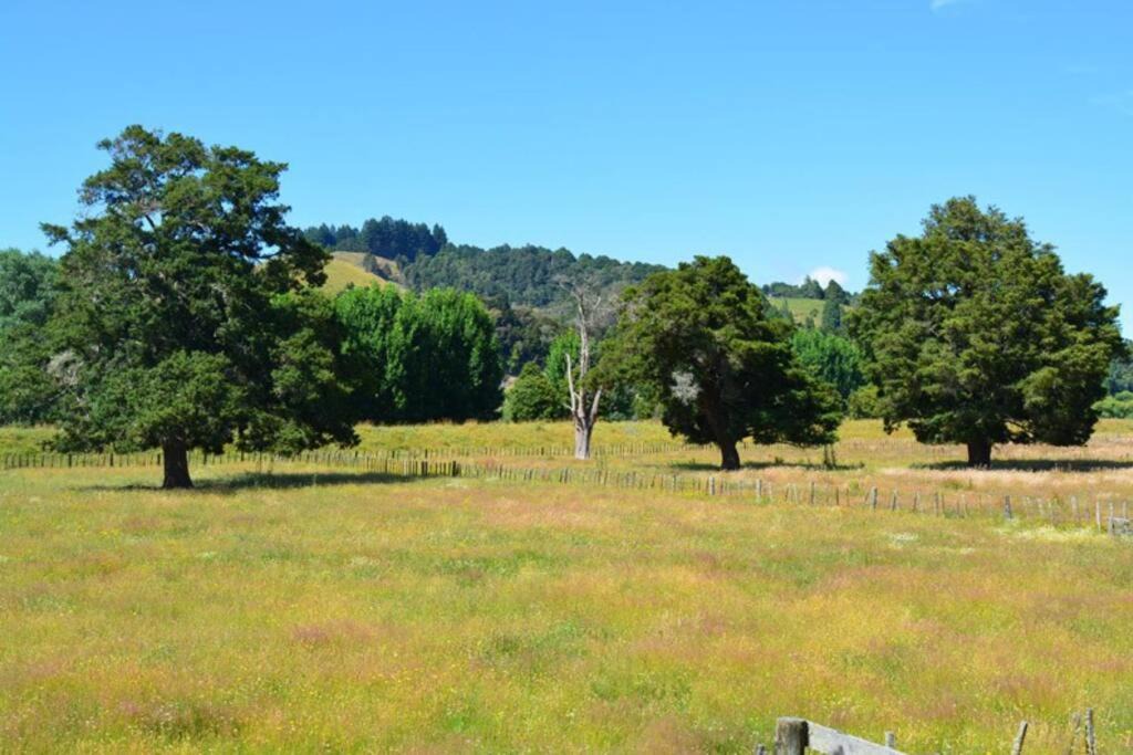 Photo of Others in Taumarunui