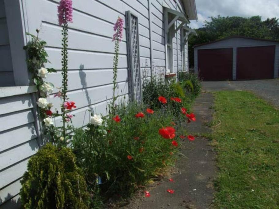 Photo of Others in Taumarunui