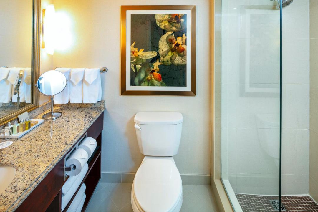 Photo of Others in Downtown Halifax