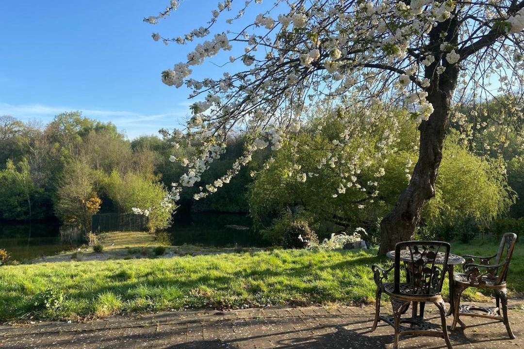 Photo of Others in Shorne