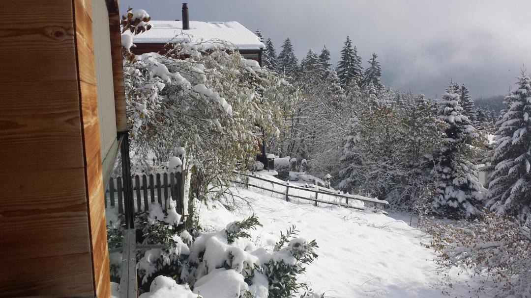 Photo of Others in Waldhaus Flims