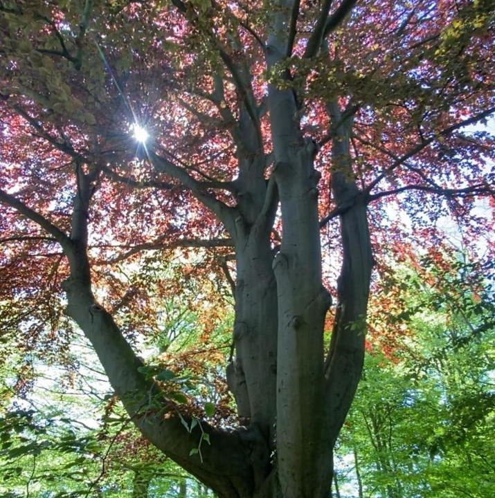 Photo of Others in Harcanville