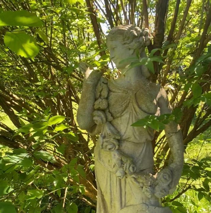 Photo of Others in Harcanville