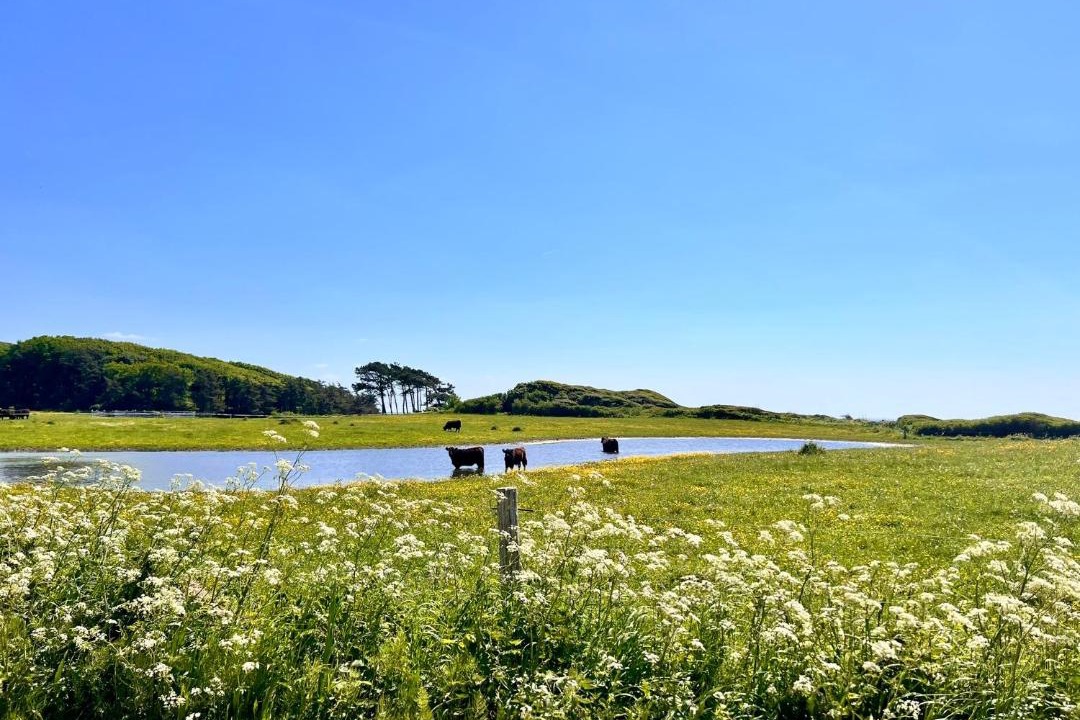 Photo of Others in Kalundborg