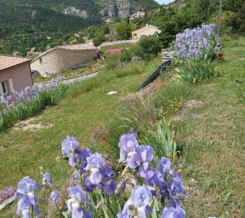 Photo of Others in Orpierre