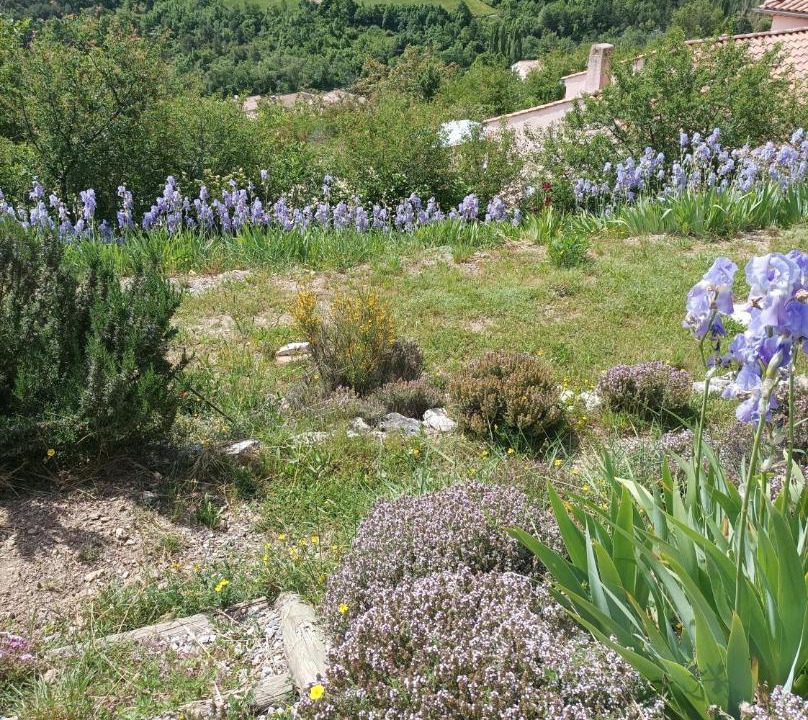 Photo of Others in Orpierre