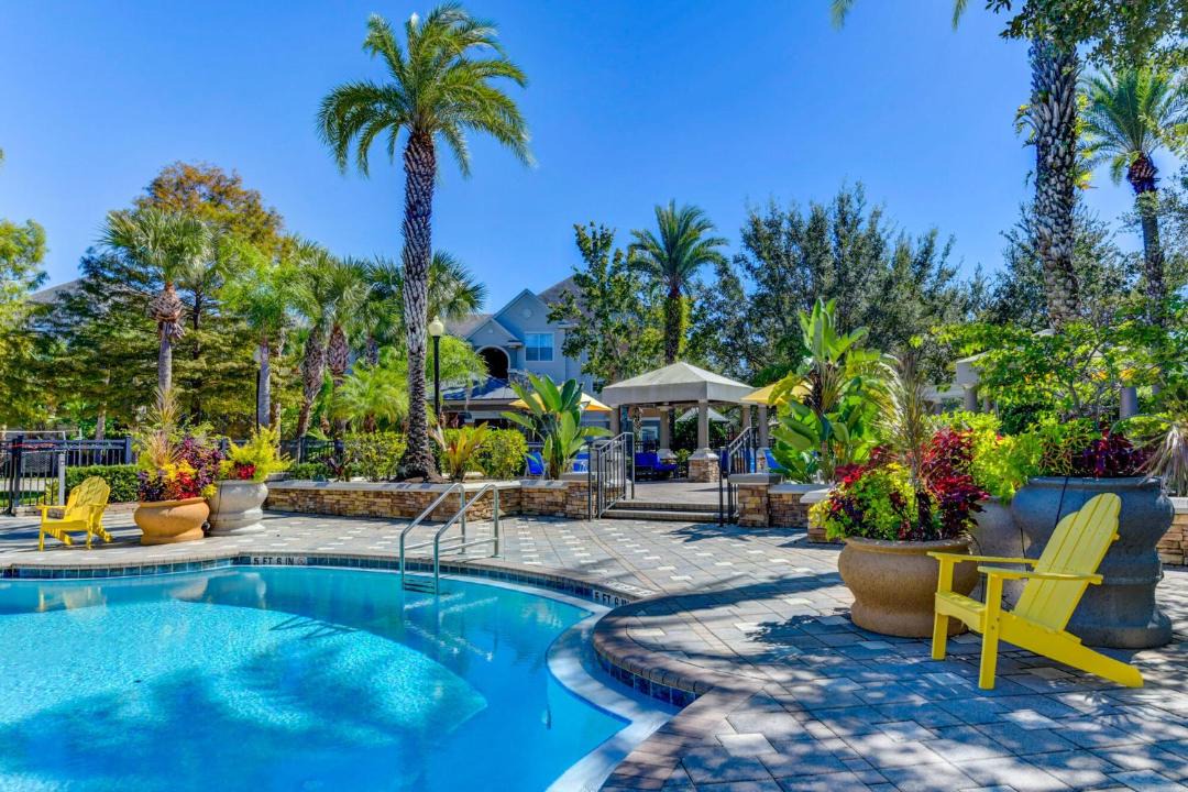 Photo of Others in Orlando