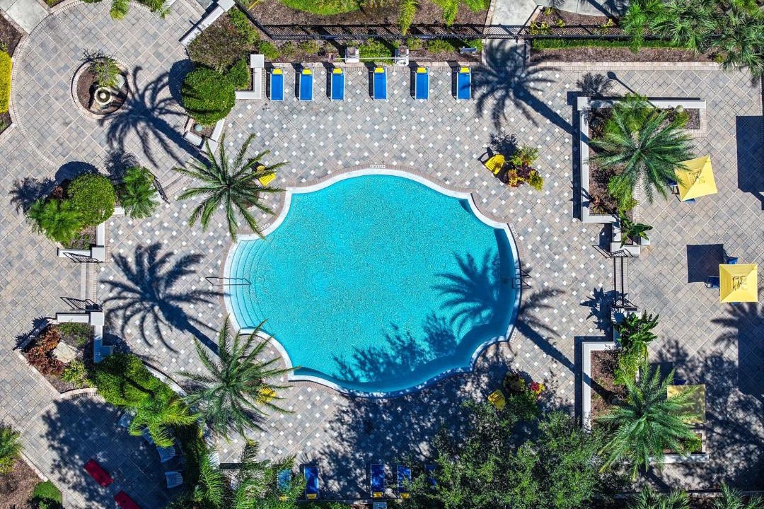 Photo of Others in Orlando