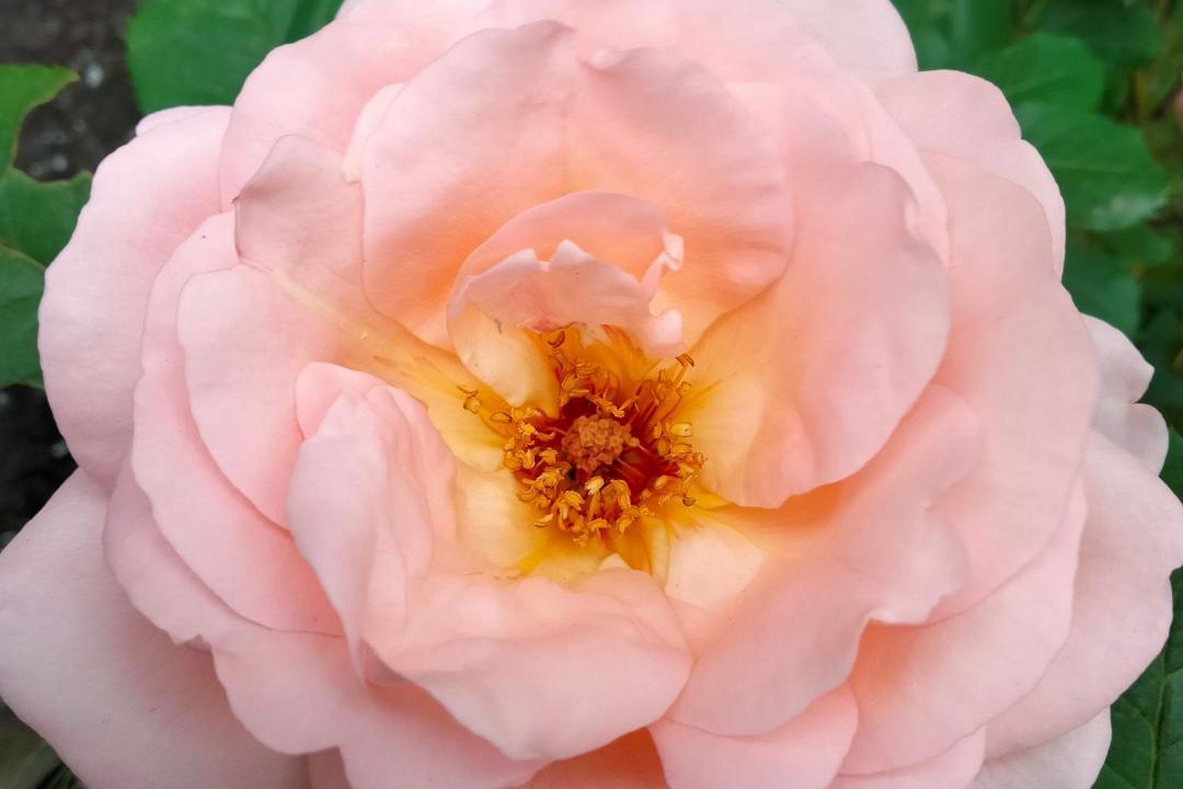 Photo of Others in Melay