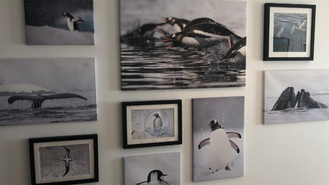 Photo of Others in Churchill