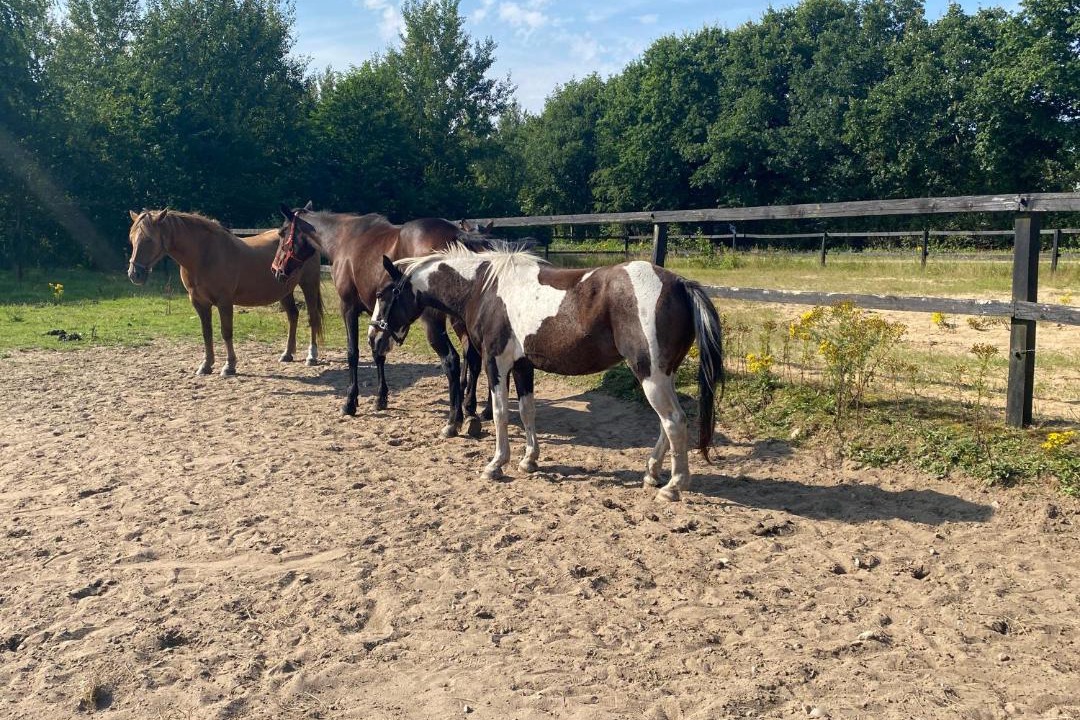 Photo of Others in Give