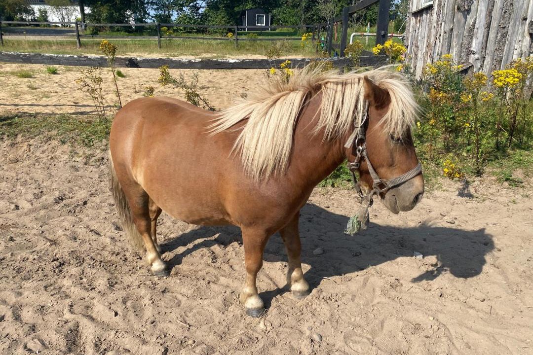 Photo of Others in Give