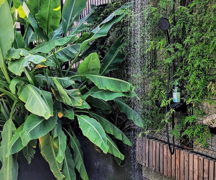 Photo of Others in Gujan-Mestras