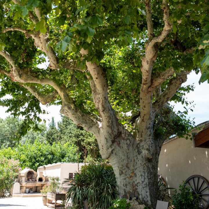 Photo of Others in Cairanne